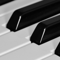domain keyboard key search